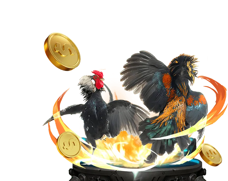 Đá gà Campuchia & Thomo